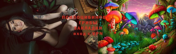 СК Осинники
