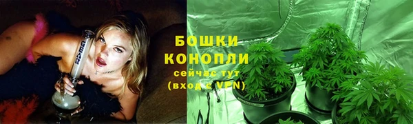 ECSTASY Вяземский