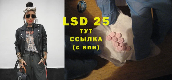 стафф Осташков