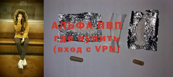 стафф Осташков