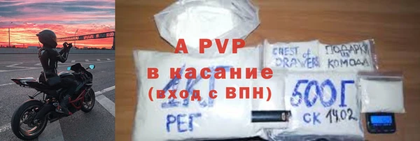 стафф Осташков
