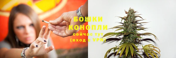 СК Осинники