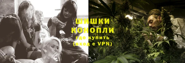 стафф Осташков