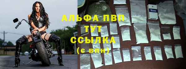СК Осинники