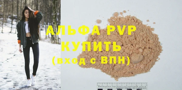 стафф Осташков